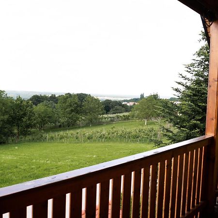 Apartma-Spa Natura Sveti Jurij ob Scavnici Esterno foto