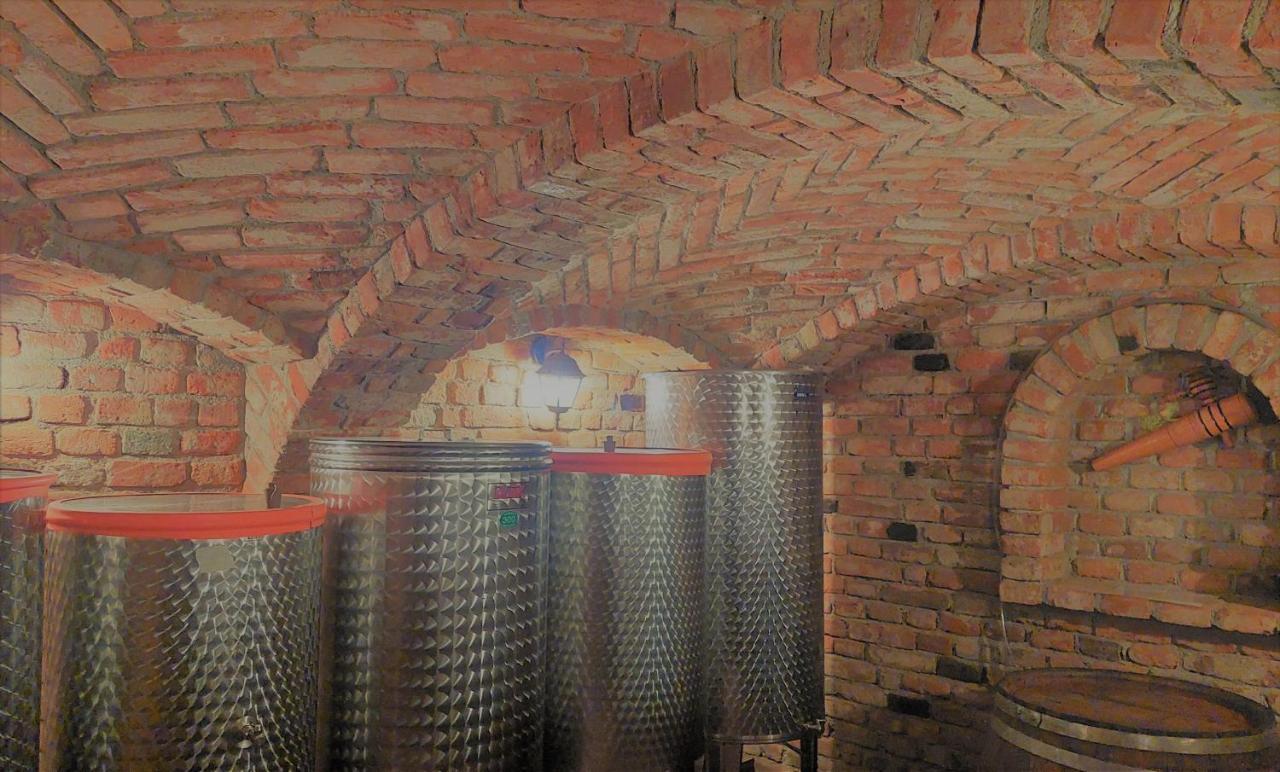 Apartma-Spa Natura Sveti Jurij ob Scavnici Esterno foto