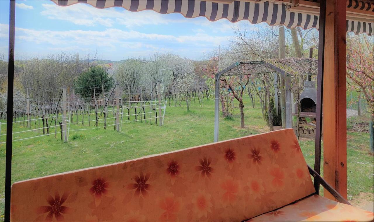Apartma-Spa Natura Sveti Jurij ob Scavnici Esterno foto