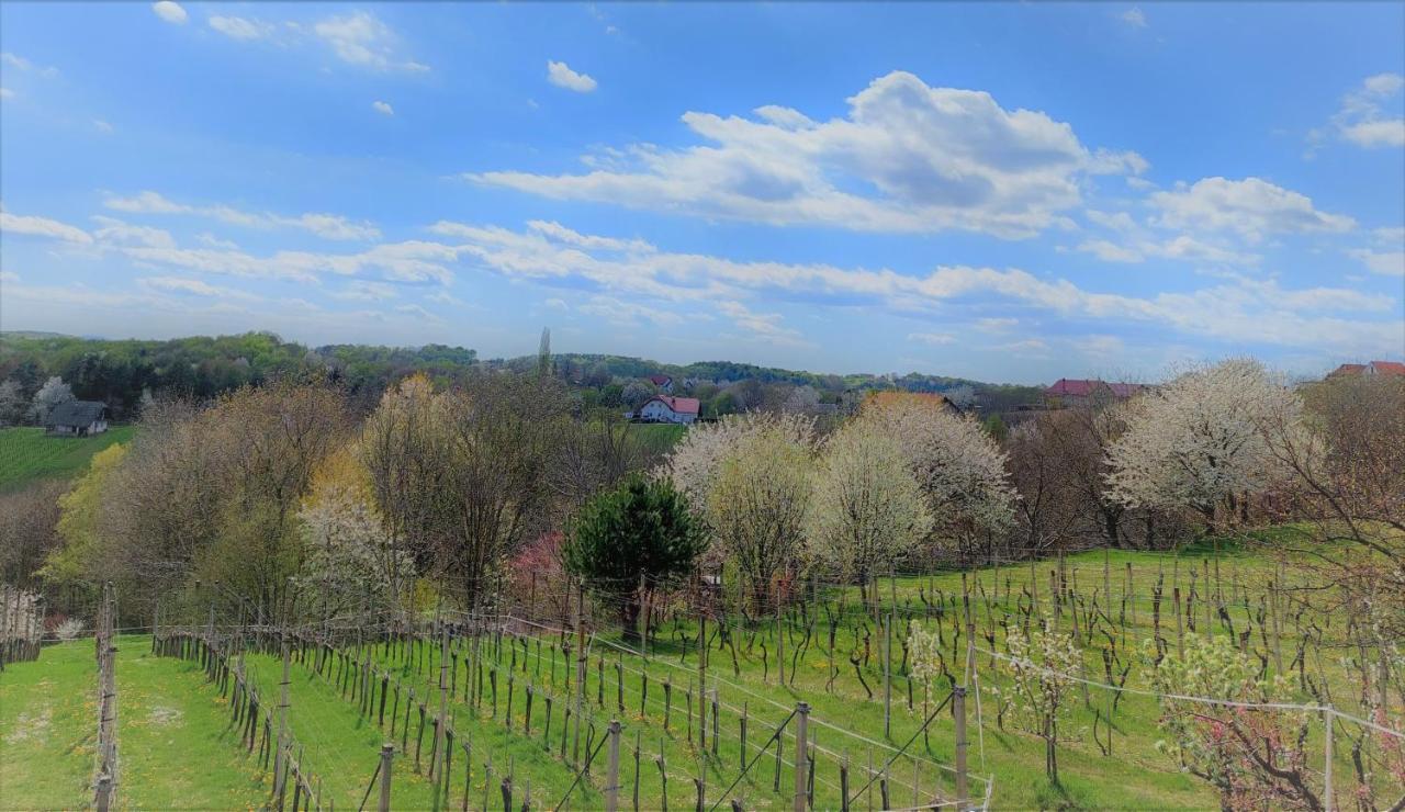 Apartma-Spa Natura Sveti Jurij ob Scavnici Esterno foto