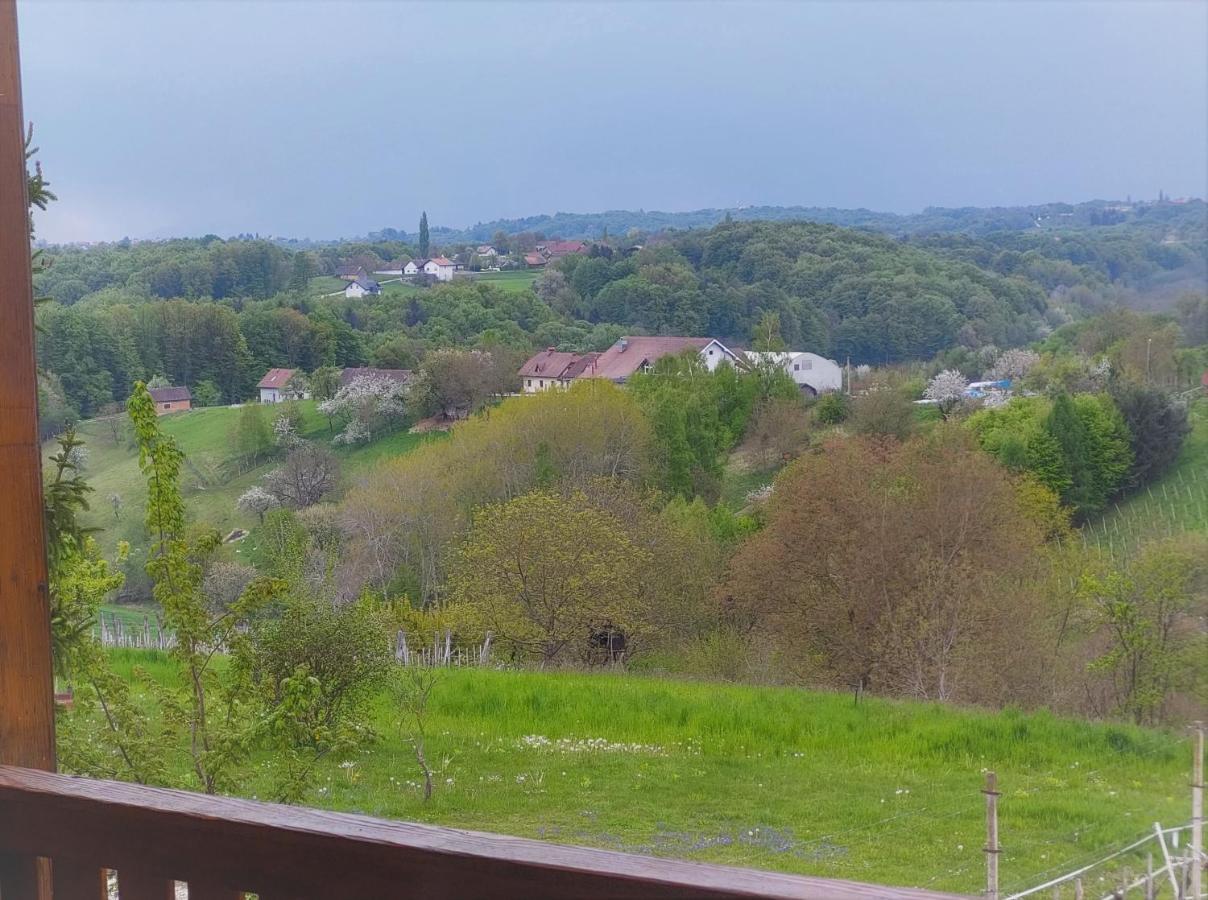 Apartma-Spa Natura Sveti Jurij ob Scavnici Esterno foto