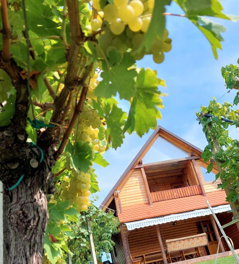 Apartma-Spa Natura Sveti Jurij ob Scavnici Esterno foto
