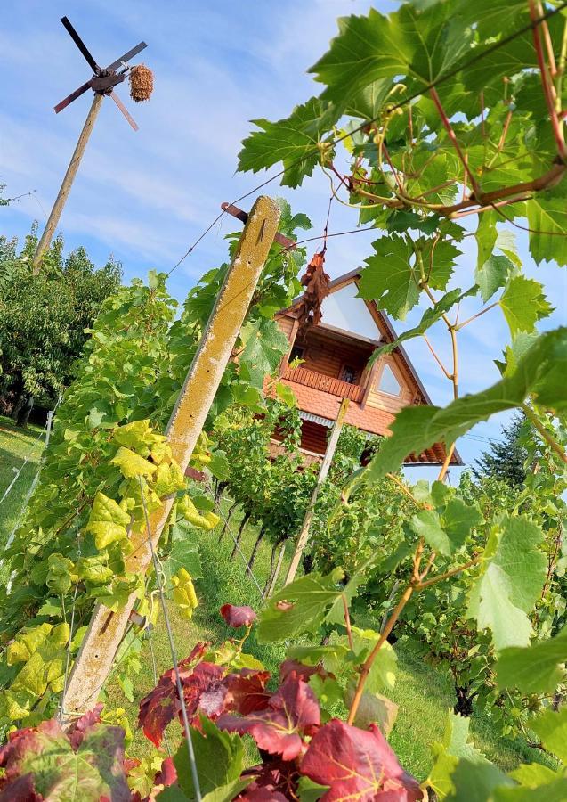 Apartma-Spa Natura Sveti Jurij ob Scavnici Esterno foto